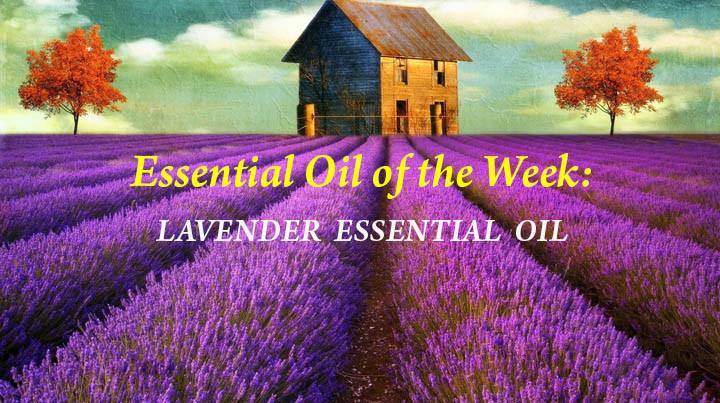 Blog 14: Essential Oil of the Week: Lavender Essential Oil - Keya Seth Aromatherapy